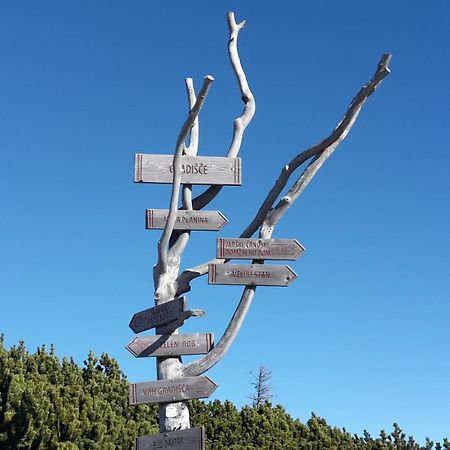 Chalet Zlatica Velika Planina Stahovica Εξωτερικό φωτογραφία