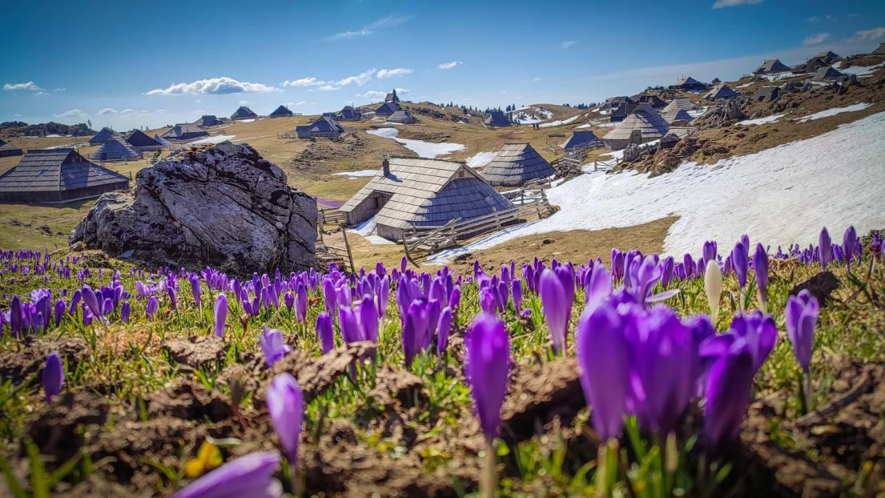 Chalet Zlatica Velika Planina Stahovica Εξωτερικό φωτογραφία