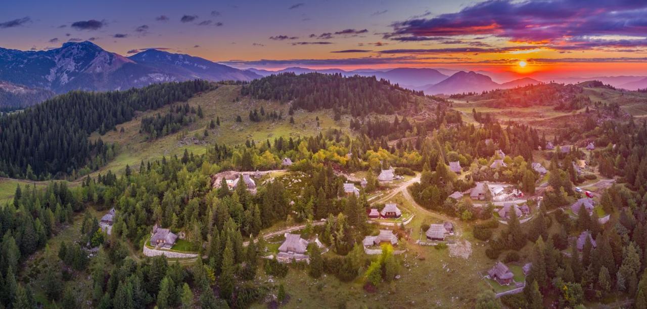 Chalet Zlatica Velika Planina Stahovica Εξωτερικό φωτογραφία