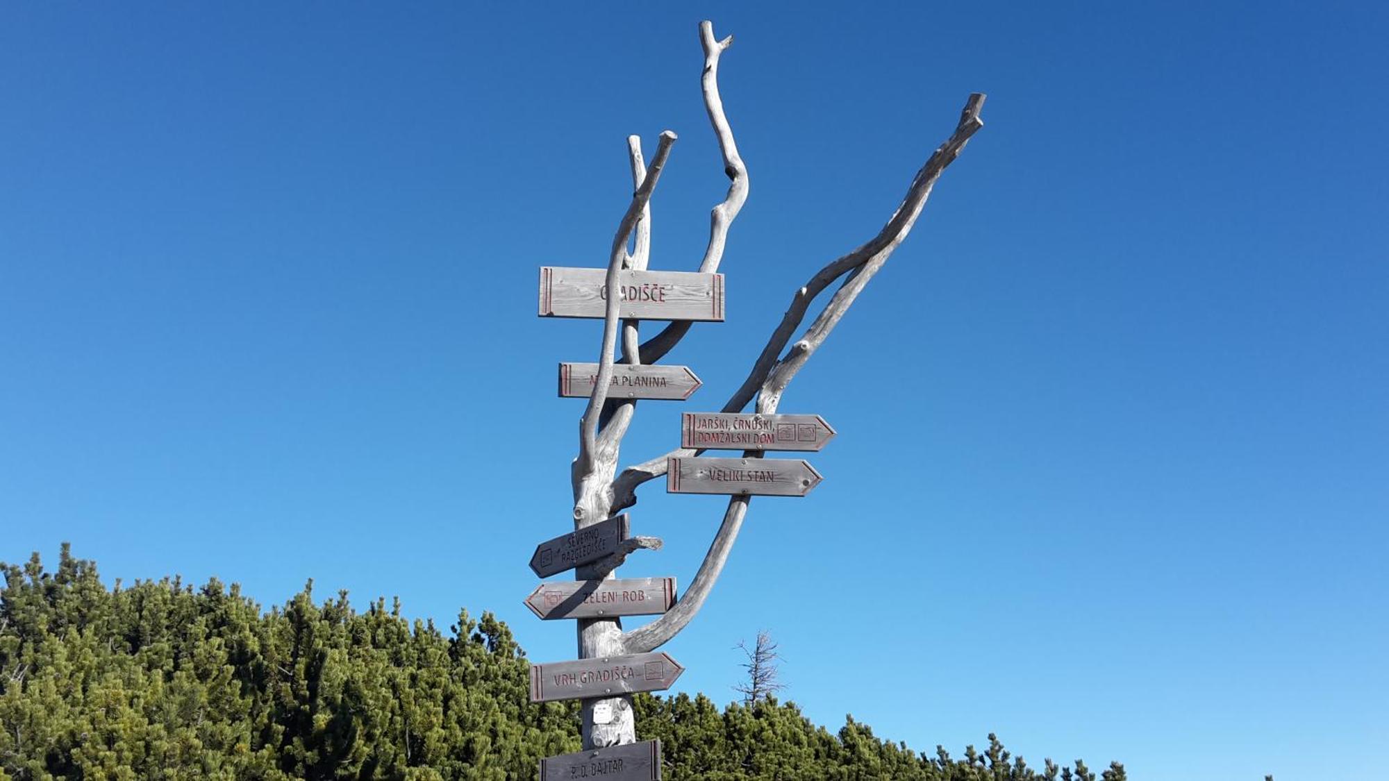 Chalet Zlatica Velika Planina Stahovica Εξωτερικό φωτογραφία