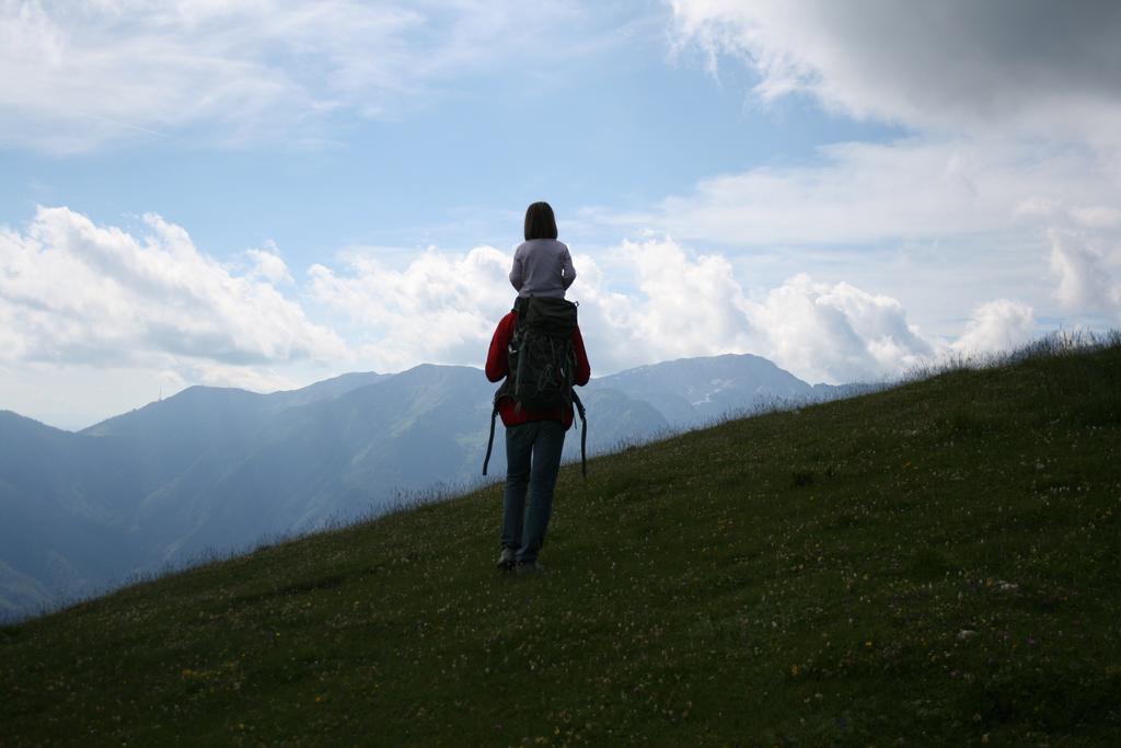 Chalet Zlatica Velika Planina Stahovica Εξωτερικό φωτογραφία