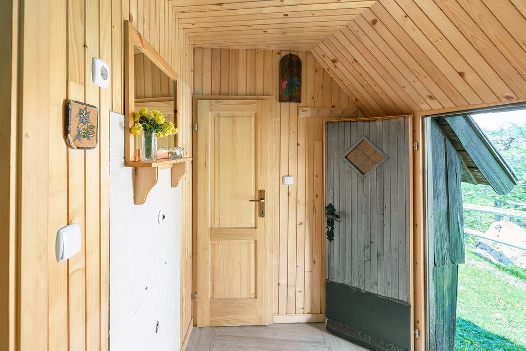 Chalet Zlatica Velika Planina Stahovica Εξωτερικό φωτογραφία