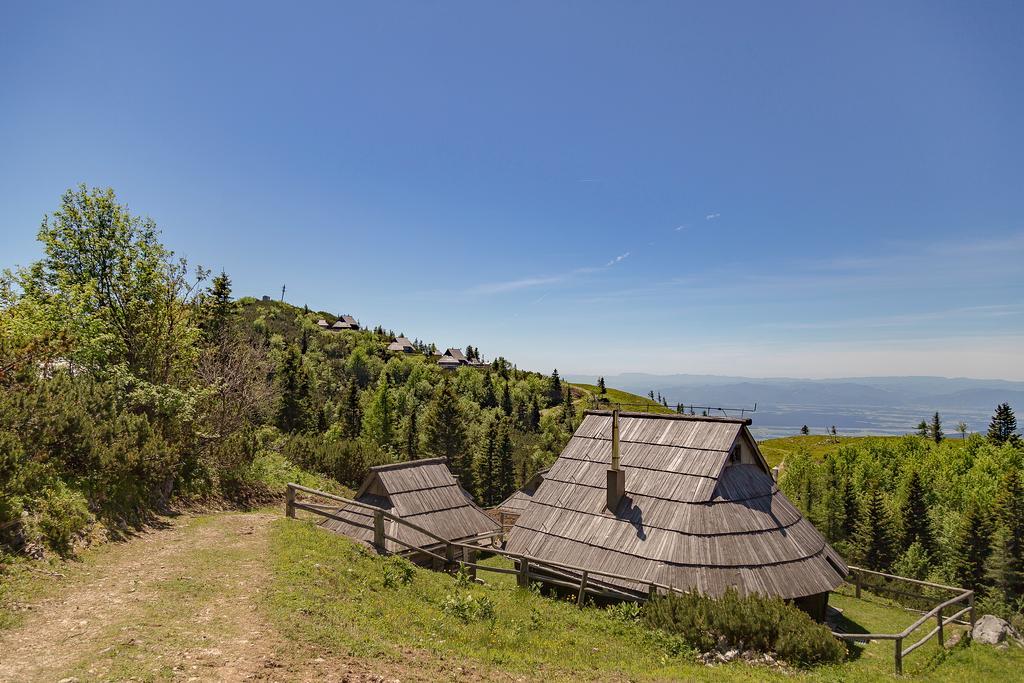 Chalet Zlatica Velika Planina Stahovica Εξωτερικό φωτογραφία